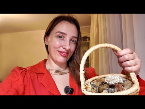 Видео: Обзор Распаковка посылки из Кирова: халцедонистые кремни, голубые камни с дендритами,ледниковая яшма