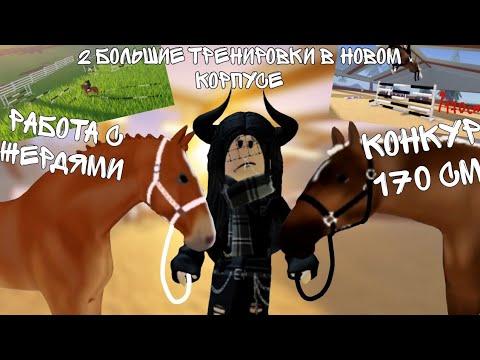 Видео: Тренировки в новом корпусе клуба!❤️‍🔥😉/ работа с жердями😮‍💨/ конкур 170 см💪/ #whi #wildhorseisland