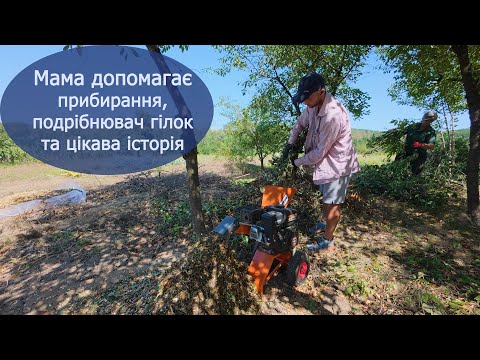 Видео: Купили хату в селі:  прибирання ділянки, нові рослини, подрібнення гілля