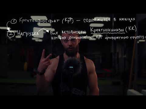 Видео: От чего зависит сила. Креатин и креатинфосфат в мышцах.