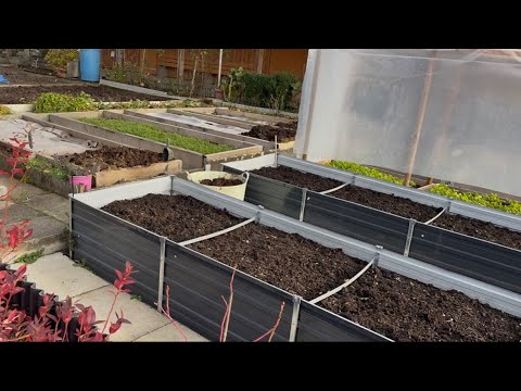 Видео: ОГОРОДНИЦА В ШВЕЙЦАРИИ überträgt einen Livestream.