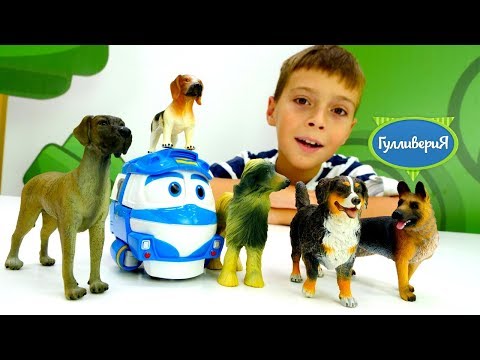 Видео: Видео для детей. Милые щеночки.Собачкам негде жить