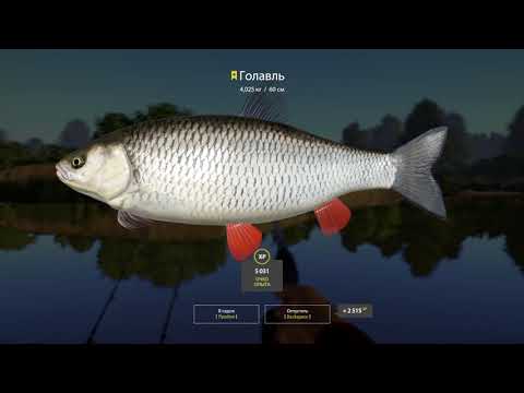 Видео: ТОЧКА НА ТРОФЕЙНОГО ГОЛАВЛЬ НА ВЬЮНКЕ В РУССКОЙ РЫБАЛКЕ 4 РР4