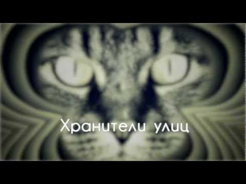 Видео: Хранители Улиц - фильм о кошках в блокадном Ленинграде