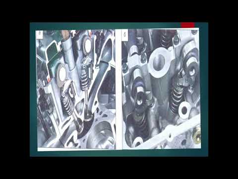 Видео: 13 ноября 2025 г.