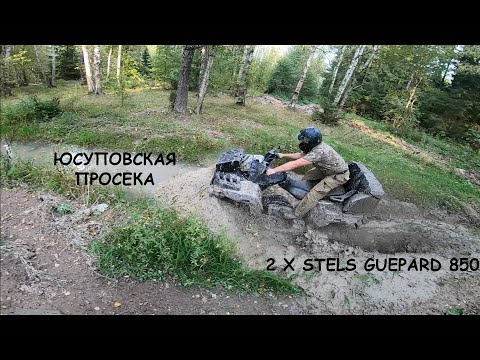 Видео: Покатушки на STELS GUEPARD 850 . Слегка прокатились по Юсуповский Просеке.