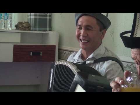 Видео: Аккордеончу БАЙКЕ баарын жыргатты