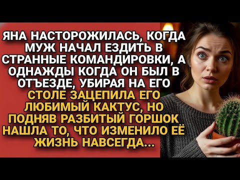 Видео: Яна подозревала мужа, а отправив в командировку, случайно разбила его кактус и нашла...