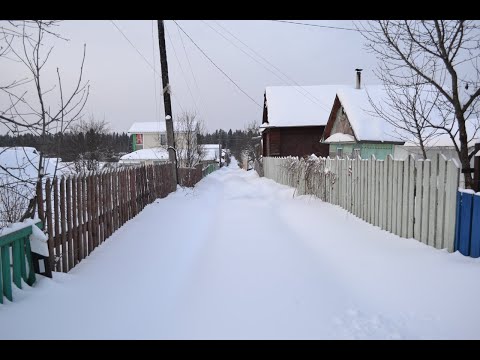 Видео: Обзор Моего Сада / Отопление Дачи Зимой / Жарим Купаты