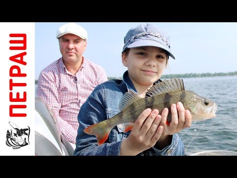 Видео: Ловля окуня НА ОТВОДНОЙ ПОВОДОК с лодки На силиконовые приманки Фанатик