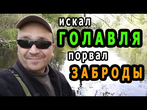 Видео: Ловля голавля на реке Орель | Порвал заброды - рыбалка 2020.