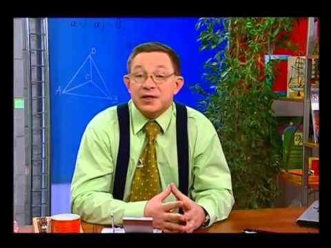 Видео: Математика 44. Первый калькулятор. Ось симметрии — Академия занимательных наук