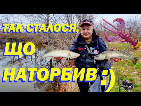 Видео: Ставковий судак в листопаді. Arion та Nimble відкривають таємну скриньку з заліковими зандерами )