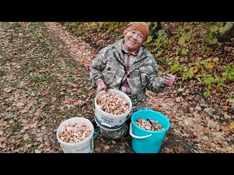 Видео: За грибами с братом и сестрой 💑// нарвались на место  // 