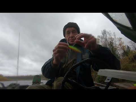 Видео: Воблеры которые работают. Обзор моих воблеров, которые проявили себя лучше всего.