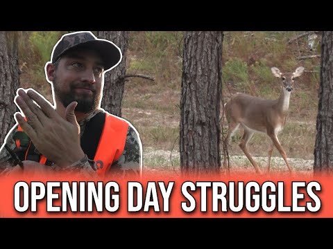 Видео: День открытия прошёл не по плану: произошёл выстрел | Сезон охоты на оленей в Джорджии 2025