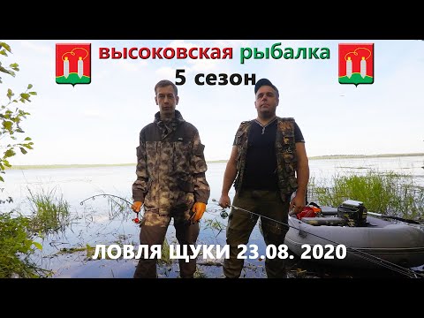 Видео: Ловля щуки в конце августа на колебалки