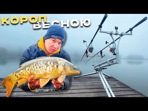 Видео: Покрокова Інструкція ЯК ЛОВИТИ КОРОПА для Новачків! Весняна рибалка на КОРОПА 2025!