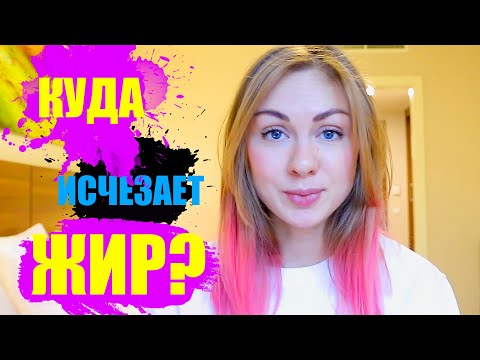 Видео: КУДА ИСЧЕЗАЕТ ЖИР? Или когда кто-то худеет, куда уходит жир?