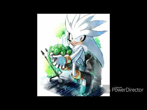 Видео: Шедоу и Сильвер (день и ночь)