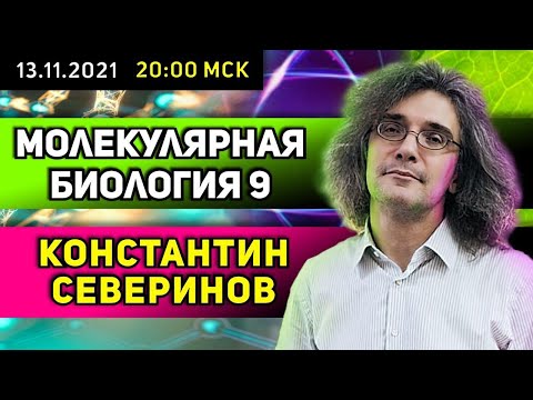 Видео: Константин Северинов. Молекулярная биология. АТФ - биологический доллар.