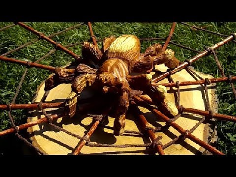 Видео: "ПАУК" на удачу или деньги под ногами .