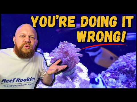 Видео: Параметры и баланс воды в рифовом аквариуме!