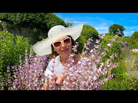 Видео: Vlog 302 - Уникальное средневековое поместье - Клеведон, английские сады