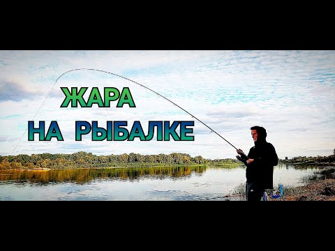 Видео: РЫБАЛКА НА РЕКЕ СОЖ, БЕШЕННЫЙ КЛЁВ РАЗНОРЫБИЦЫ, ПОКЛЁВКИ КРУПНЫМ ПЛАНОМ!!!