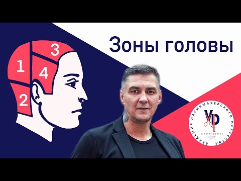 Видео: Зоны головы: за что они отвечают