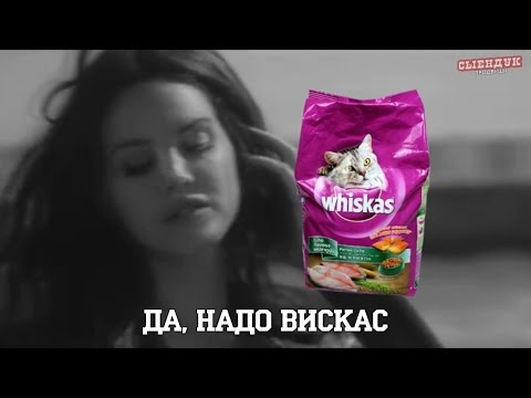Видео: ВИНОВАТ ЗАПОЙ (ПОСЛЫШАЛОСЬ)