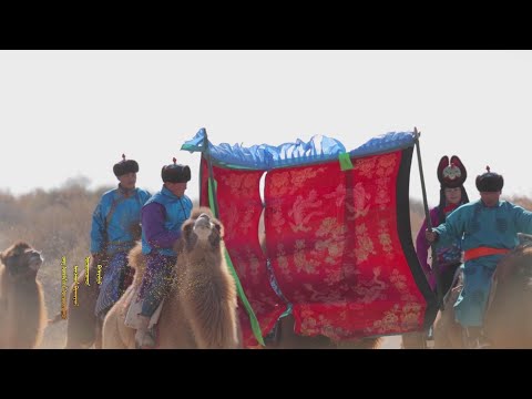 Видео: алщаа хурим1 alsha hurim阿拉善婚礼1