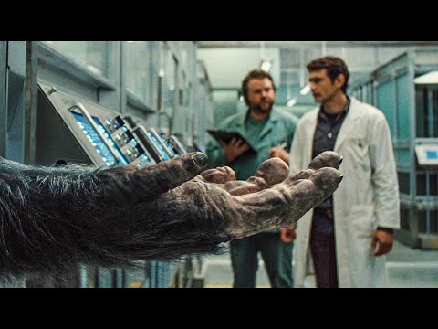 Видео: Экспериментальный препарат сделал обезьян умнее людей и они восстали