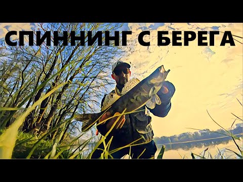 Видео: На велосипеде за СУДАКОМ
