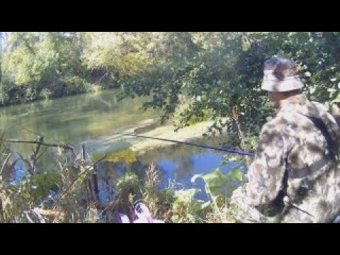 Видео: РЫБАЛКА НА ПОПЛАВОК В СЕРЕДИНЕ СЕНТЯБРЯ. Ловля плотвы на удочку!