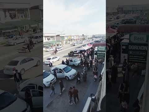 Видео: Аккурган сегодня 03.11.24 #аккурган