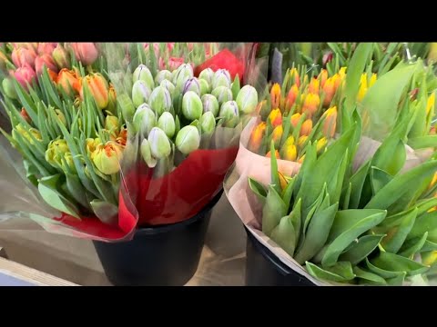 Видео: УЕХАЛА! Цены на рынке и в магазине. Что купила? Покупки с WB и Ozon. Готовлю очень вкусное блюдо.