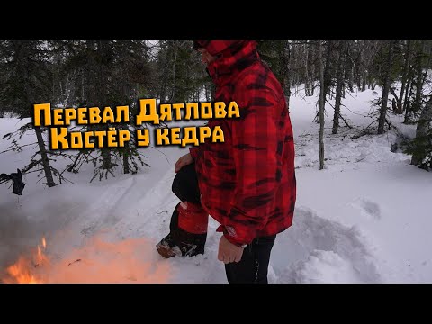 Видео: Перевал Дятлова. Разведение костра у кедра. Экспедиция март 2023
