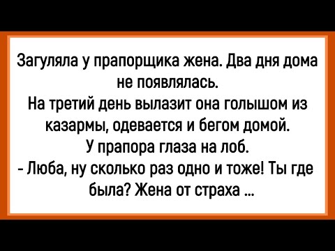Видео: 🤡Как У Прапорщика Жена Загуляла! Сборник Смешных Анекдотов! Юмор! Позитив!