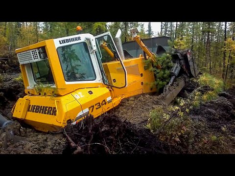 Видео: Бульдозеры на бездорожье! Мощная гусеничная техника работает на экстремальном бездорожье!