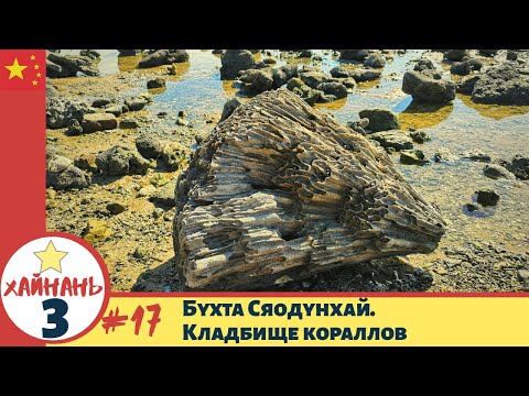 Видео: Бухта Сяодунхай. Кладбище кораллов | #Хайнань 3-17