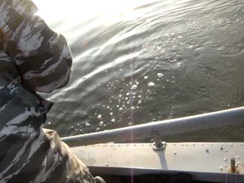Видео: Сом на квок Рязань 02.09.09 Часть-1
