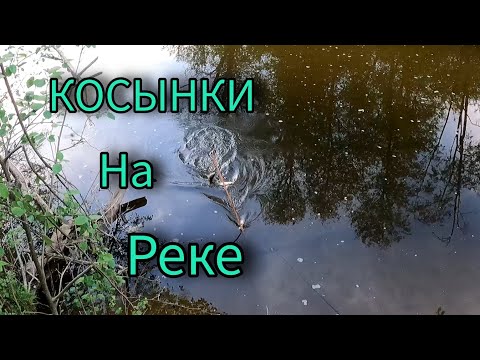 Видео: РЫБАЛКА НА ЭКРАНЫ НА МИКРОРЕЧКЕ. ТУТ ЛОВИТЬСЯ МЕЖДУ ПЕРЕКАТАМИ. ВРЕМЕНИ МАЛО НО ЧУТЬ ПОЙМАЛ.
