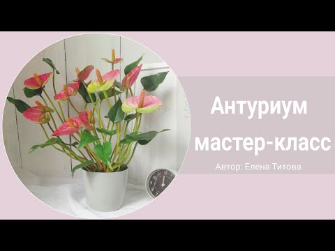 Видео: МК АНТУРИУМ из фоамирана  и работа с вайнерами / DIY / Handmade Anthurium.