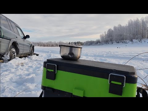 Видео: ВОТ ЭТО КЛЁВ! НЕКОГДА ДАЖЕ ПРИСЕСТЬ! Рыбалка на р. Лозьва.