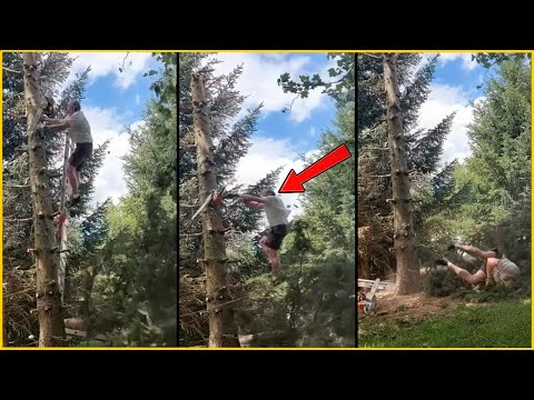 Видео: Мужчина чуть не погиб, рубя дерево || 35 ужасных случаев с деревьями