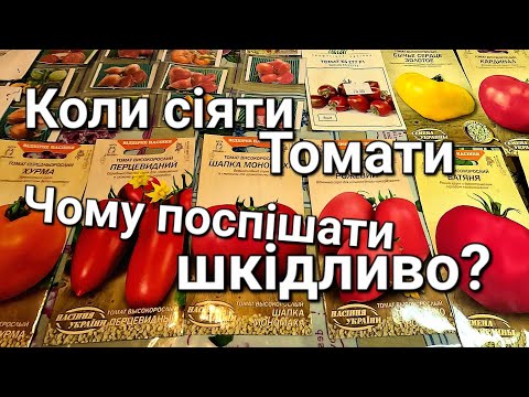 Видео: Коли сіяти Томати для відкритого грунту| Чому поспіх шкідливий!?