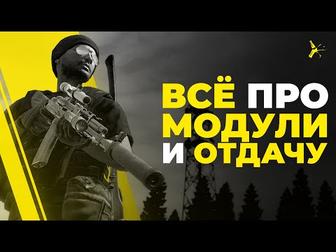 Видео: ВСЁ ПРО МОДУЛИ | ВСЁ ПРО ОТДАЧУ, РАСКАЧКУ, СНАЙПЕРСКОЕ ДЕЛО И Т.Д. | DAYZ STANDALONE 1.22