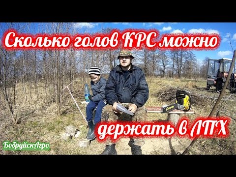 Видео: Сколько голов КРС можно держать в лпх