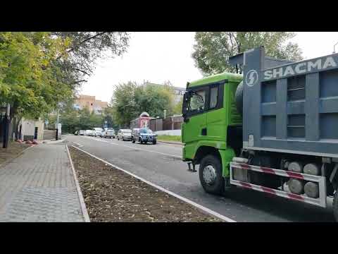 Видео: 486. Хабаровск. Запарина 55 - Дендрарий. 08.10.25.